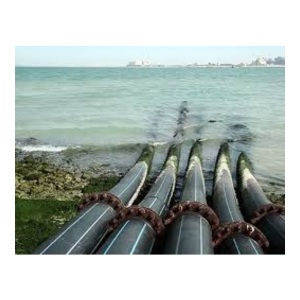 Untitled design (64)